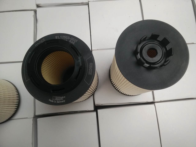 filtro diesel 12503-0061 Lion Diesel Filter 0 del camión 1kg del 15*15*28cm