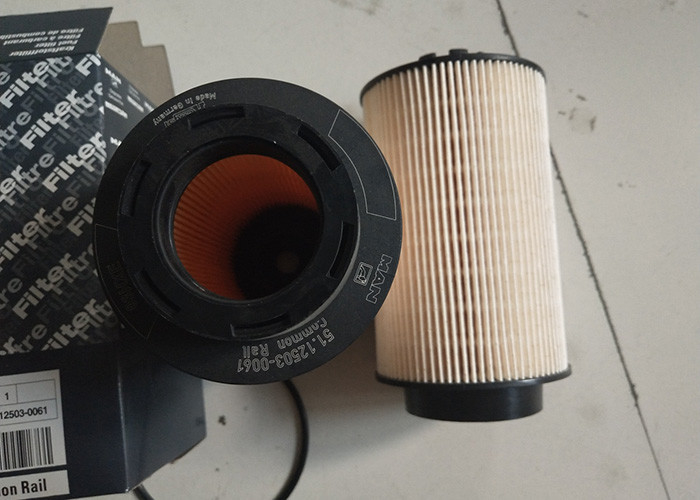 Filtro de combustible industrial diesel 51.12503-0061 para el camión de MANN 18280
